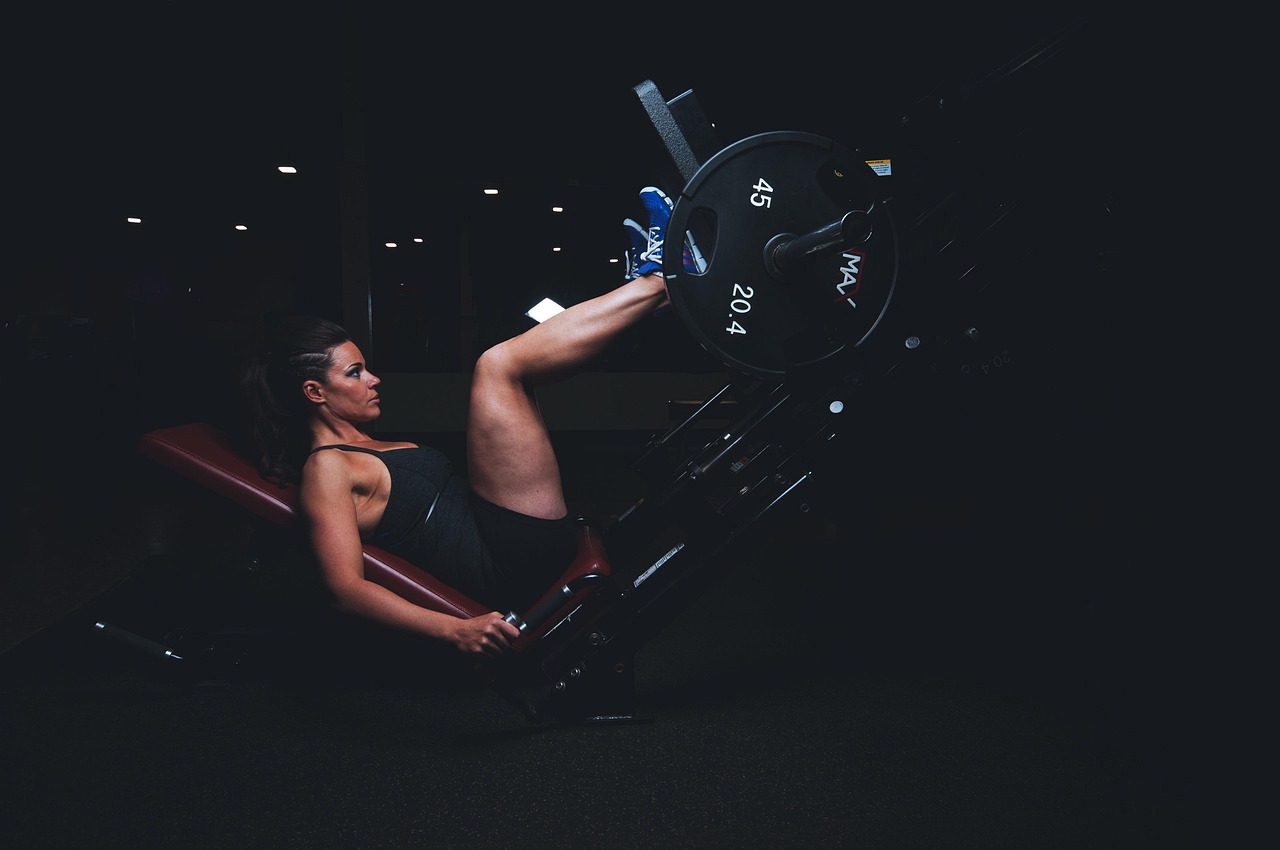 tonificazione muscolare in palestra palasport e fitness